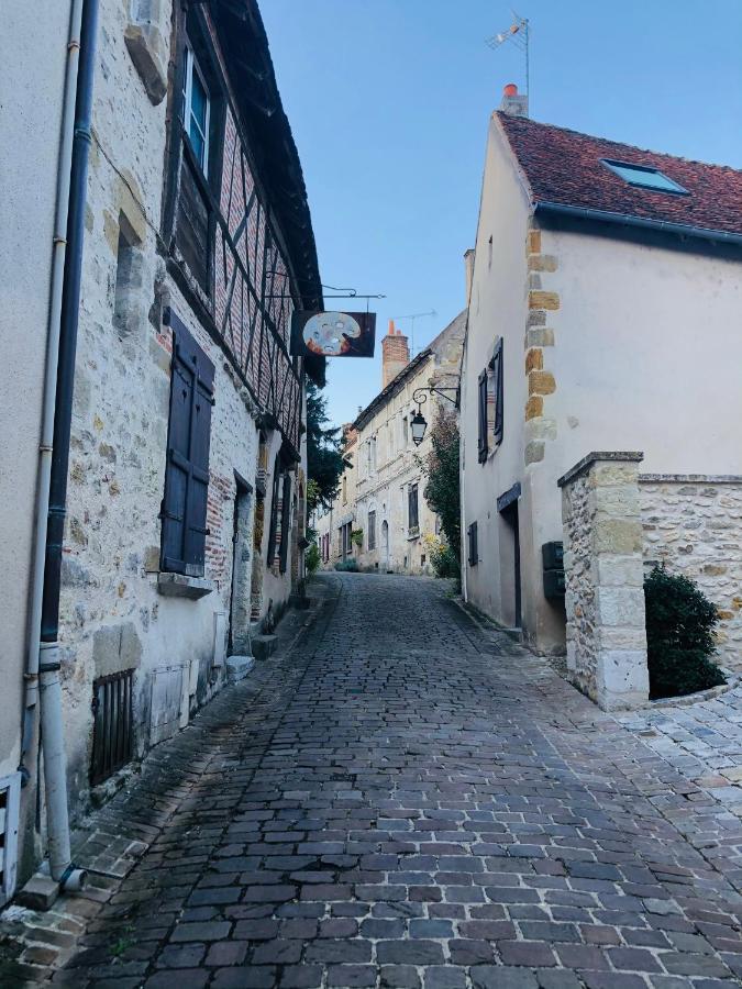 Villa L'Echappee En Sologne Mennetou-sur-Cher Exterior foto